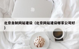 玉林北京自制网站建设（北京网站建设哪家公司好）
